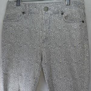 Ann Taylor Loft Pants Petite 24/00